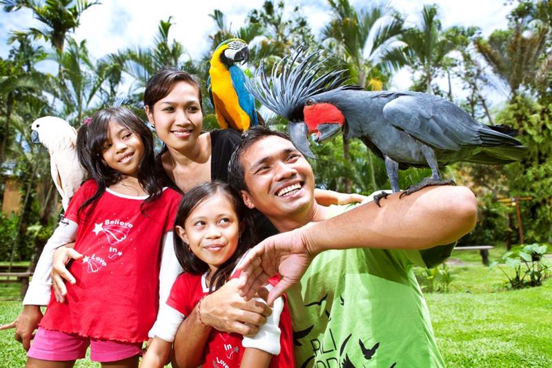 Bali Bird Park