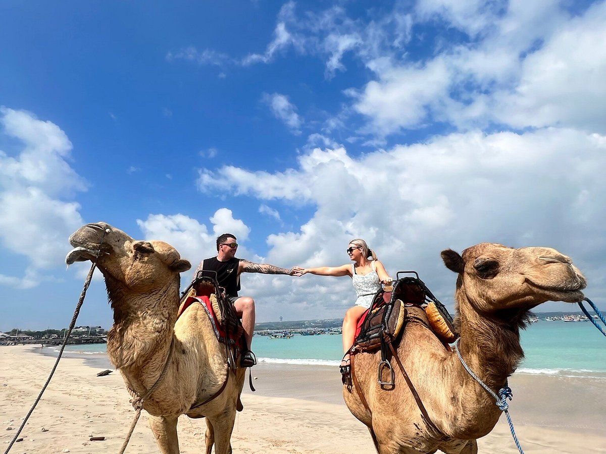 Bali Camel Adventure