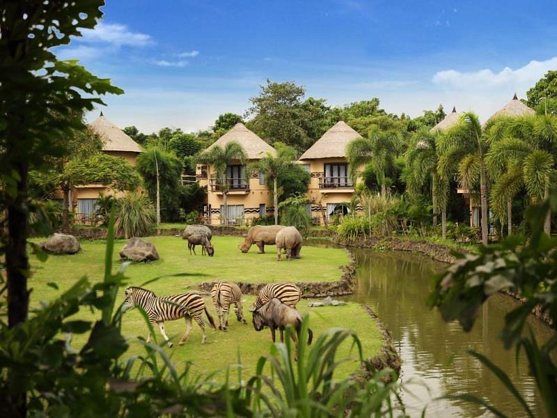 The Amazing Bali Safari & Marine Park