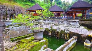 Bali Holy Water Temple Tour