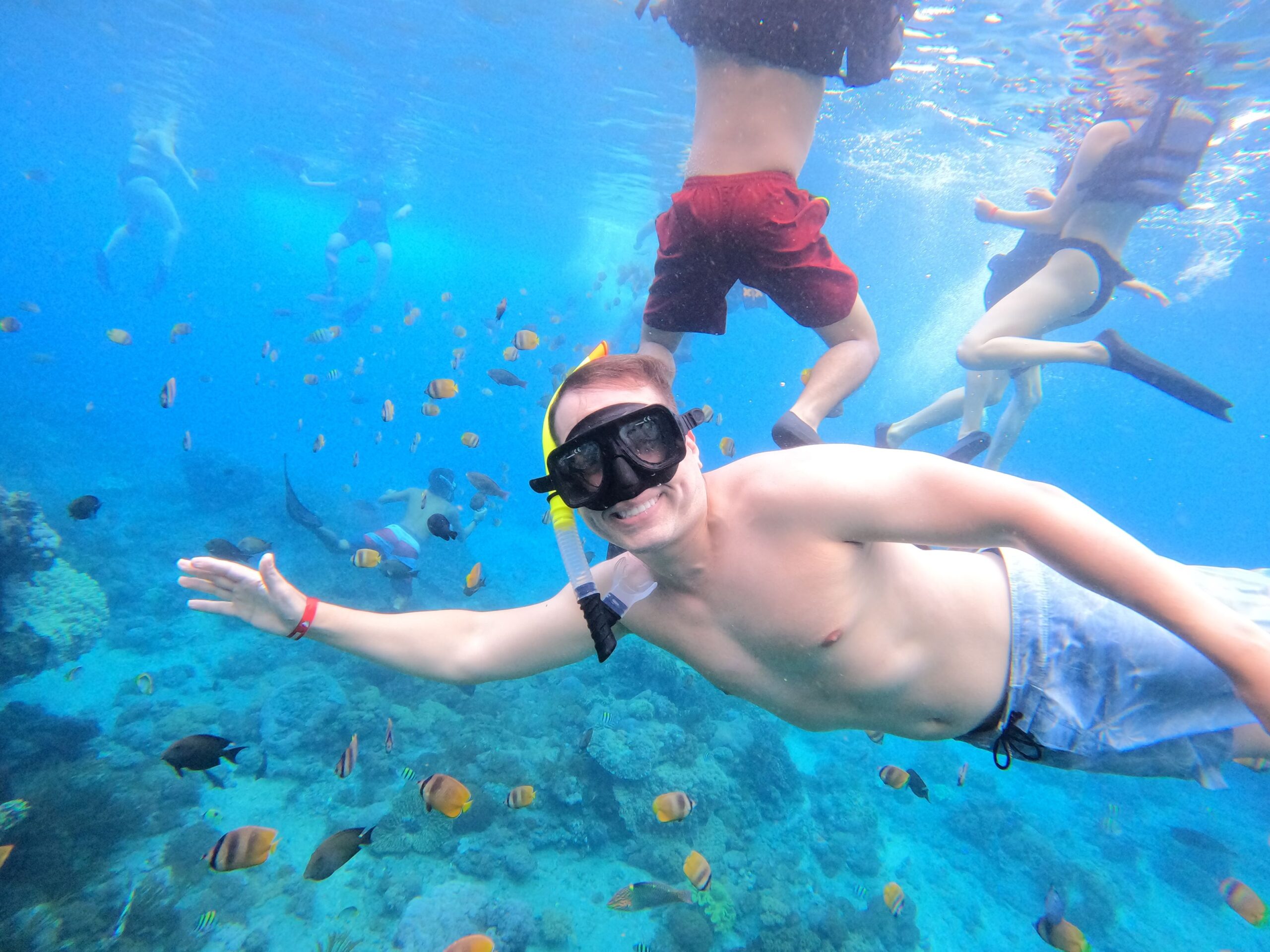 Fullday Penida Island Snorkeling With Lunch